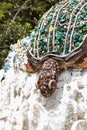 Sculpture called Natasha the Turtle made of plastic waste